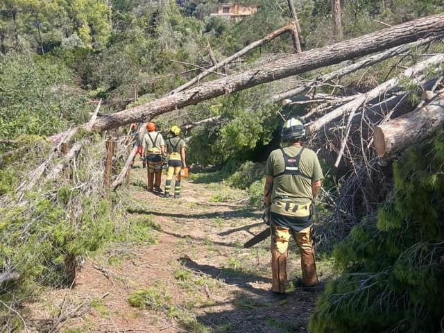 Emergències treballa per recuperar la normalitat després dels més de 200 incidents del temporal a les Balears