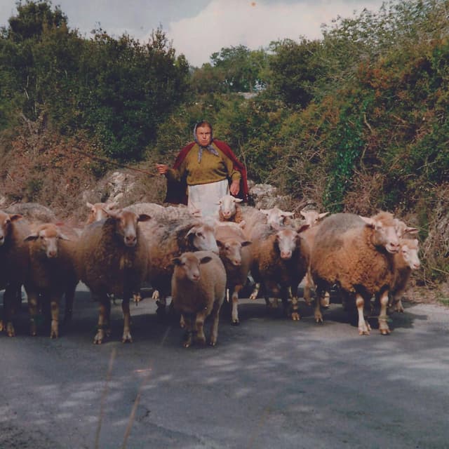 De la Mallorca agrícola a la turística en dues generacions: la història d'una família d’Artà