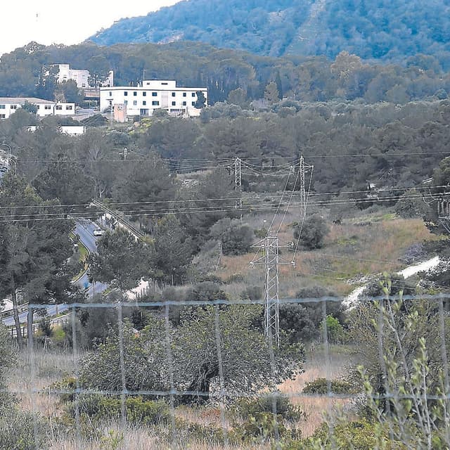 Els pisos contra la crisi de l'habitatge no arribaran abans de cinc anys