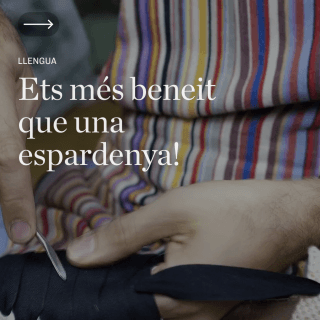 Ets més beneit que una espardenya!