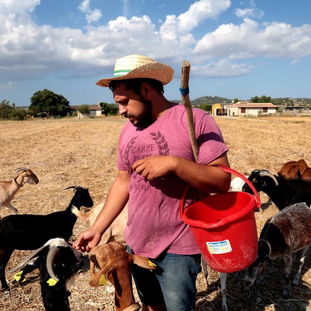 "Som una 'marica' rural amb cabres"