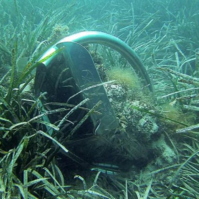 Massificació a la mar balear per l'eclipsi: una destrucció que necessitarà dècades per recuperar-se