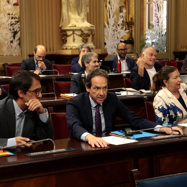 El govern espanyol boicoteja l'estratègia del PSIB contra la massificació